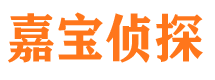 武邑嘉宝私家侦探公司